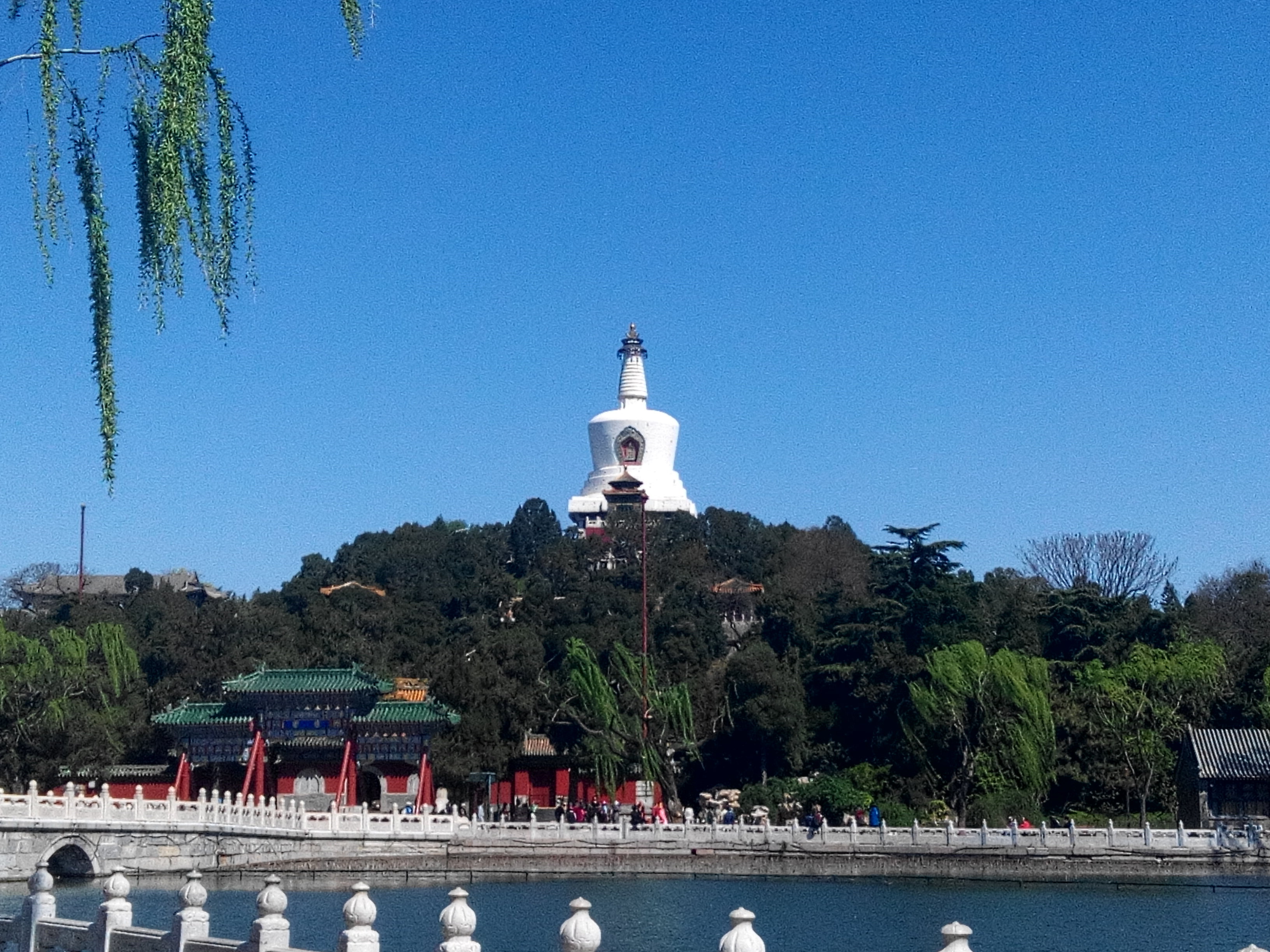 微信图片_20200109023309.jpg