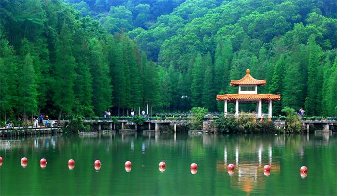 五律·深圳仙湖.jpeg