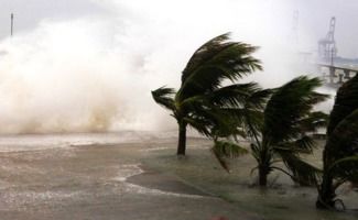 1603625371149681.jpg originaa01180c0406c601298cec17c0001f2c.jpg