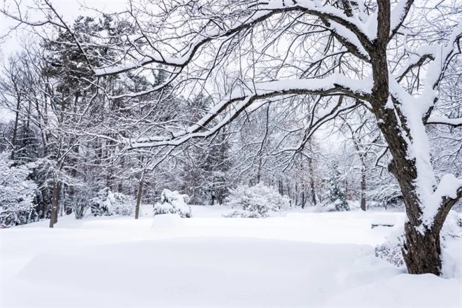 最适合下雪天发朋友圈的诗词句子唯美又浪漫