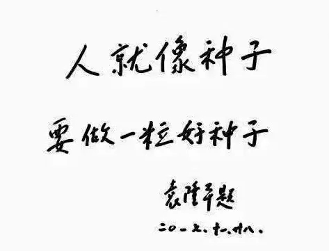 640.webp (8).jpg