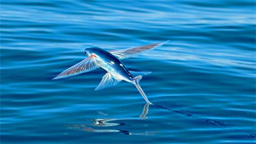 1658736619689772.jpg 1658632021438524.jpg