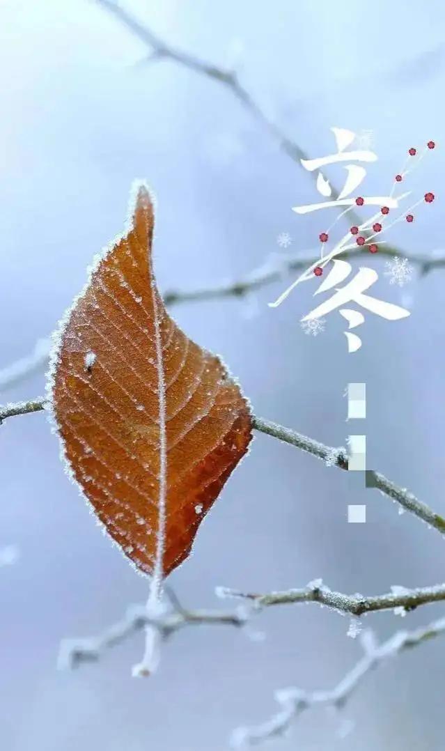 src=http%3A%2F%2Fnimg.ws.126.net%2F%3Furl%3Dhttp%253A%252F%252Fdingyue.ws.126.net%252F2022%252F1106%252Fa6c372a9j00rkx14r001jc000hr00tyg.jpg%26thumbnail%3D660x2147483647%26quality%3D80%26type%3Djpg&refer=http%3A%2F%2Fnimg.ws.126.jpg
